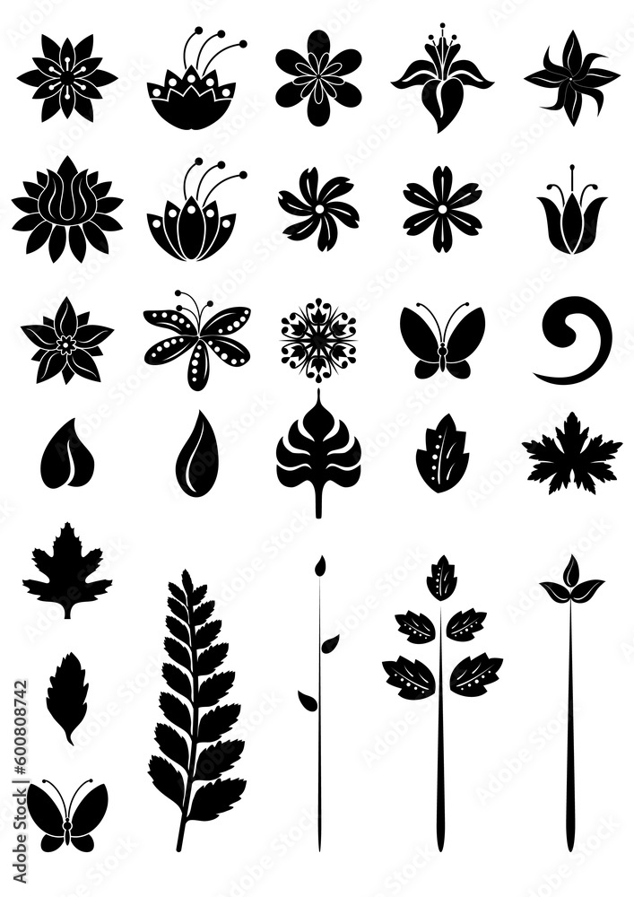 Fototapeta premium Vector illustration - floral design elements