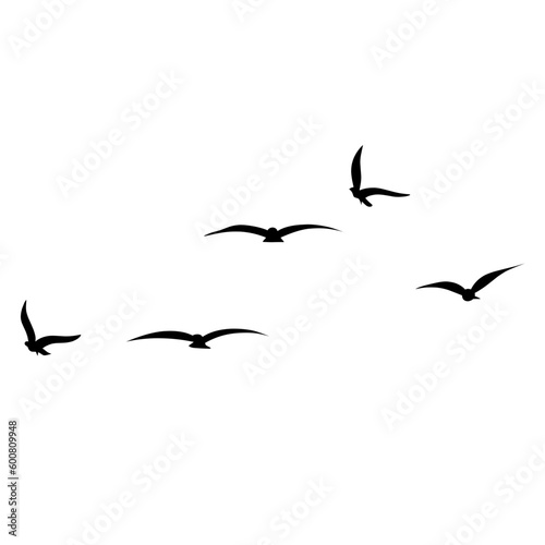 silhouette Flock of Flying Birds