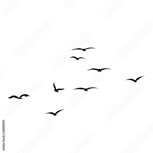 silhouette Flock of Flying Birds © P4ramours