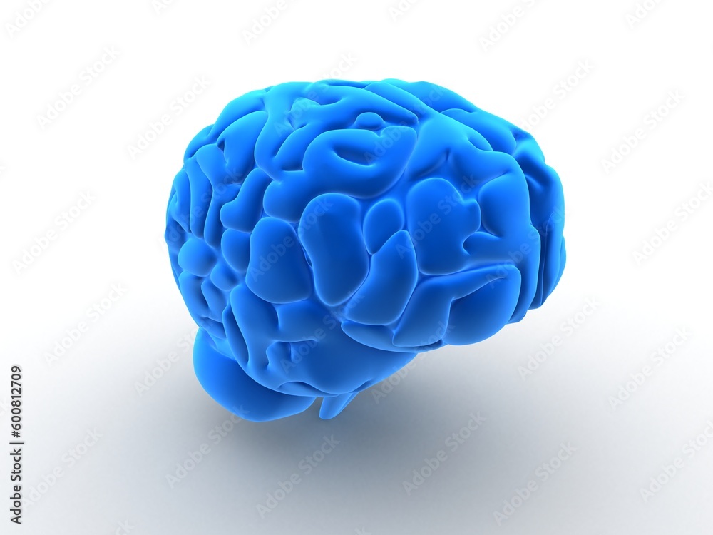3d rendered anatomy illustartion of a blue human brain - obrazy, fototapety, plakaty 