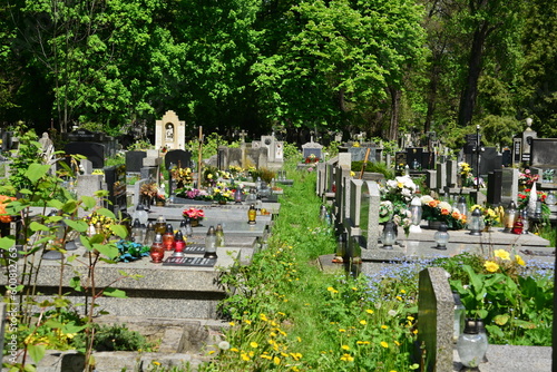 cemetery  graves  resting places of the dead 