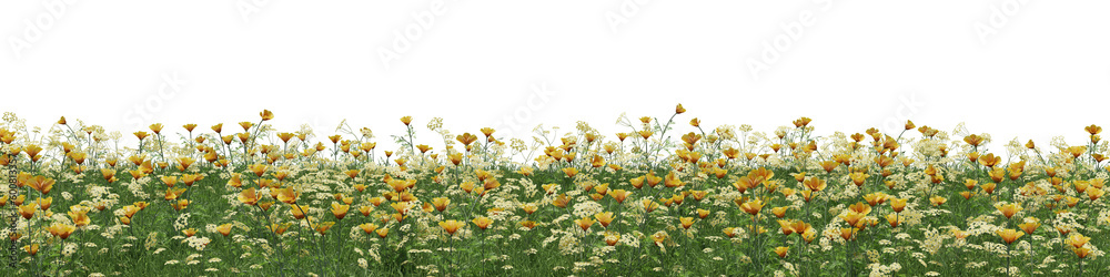 Evergreen flowers and grass field in nature, Flowres on garden in springtime, Tropical forest isolated on transparent background - PNG file, 3D rendering illustration for create and design or etc