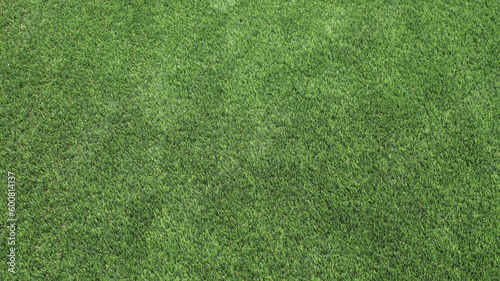 Top view of green grass texture to place inspirational text or sports.