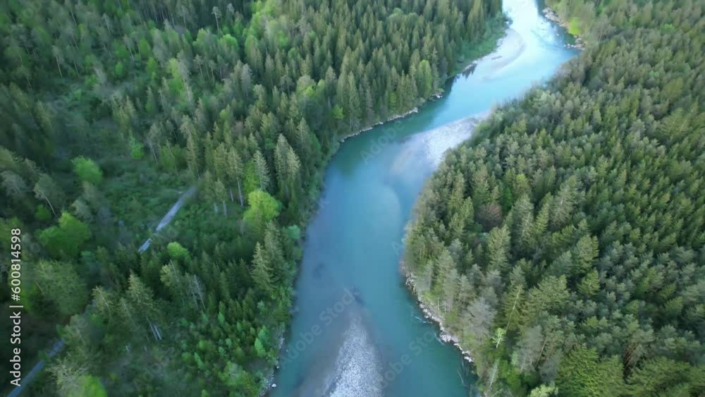 River among coniferous forest in the Austrian Alps River among coniferous forest in the Austrian Alps