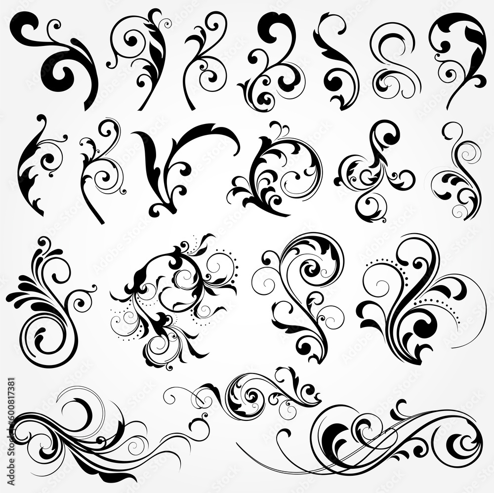 illustration drawing of floral design elements illustration drawing of floral design elements