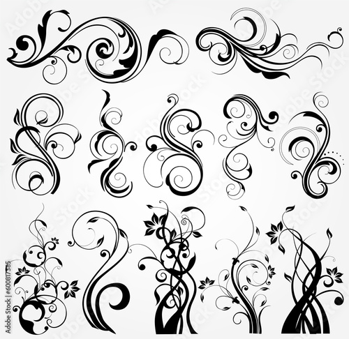 illustration drawing of floral design elements