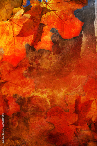 Autumn grunge background with naple leaves