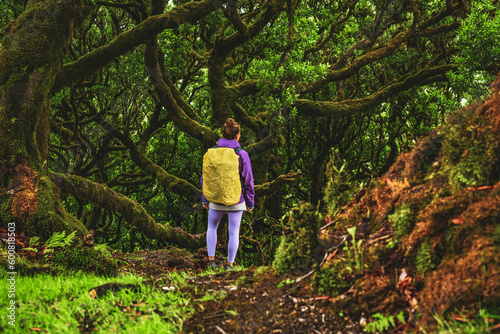 Backpacker woman looking at mossy treetops of old laurel trees in laurel forest. Fanal Forest, Madeira Island, Portugal, Europe.