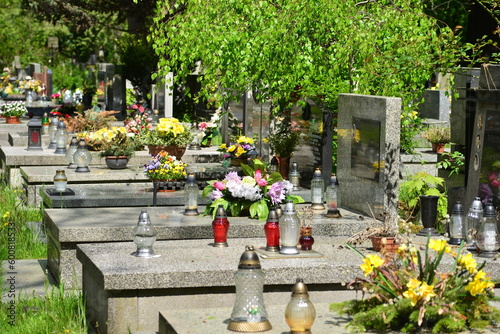 cemetery, graves, resting places of the dead,