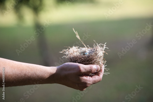 Man's hand holding empty bird's nest.
