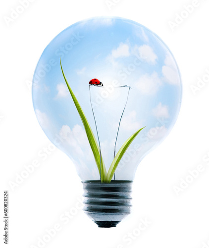 Clean energy, a light bulb with a bright sky, grass, and lady-bug.