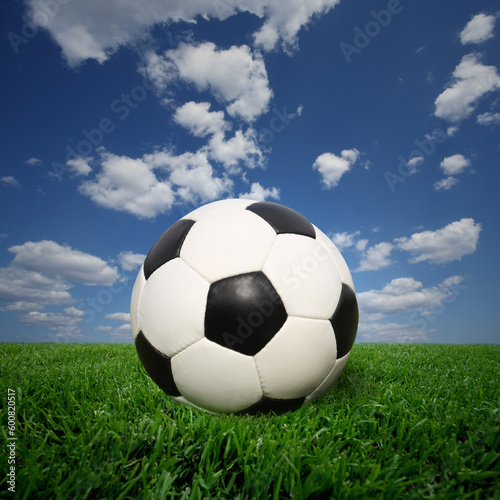 soccer ball on grass © Designpics
