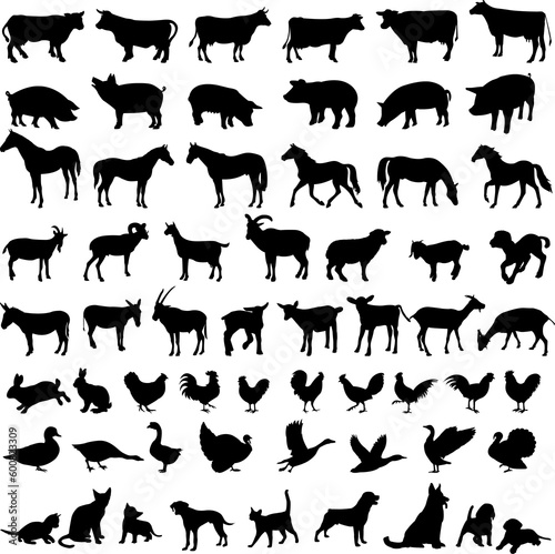 big collection of farm animals silhouettes - vector