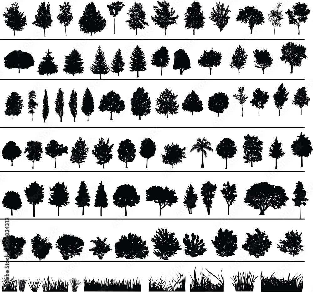 Fototapeta premium Set of silhouettes of trees, bushes and grass
