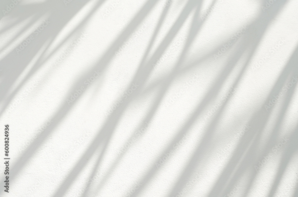 Leaf shadow and light on white concrete wall, overlay effect for photo, mock up, product, wall art, design presentation Leaf shadow and light on white concrete wall, overlay effect for photo, mock up, product, wall art, design presentation