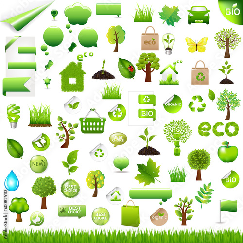 Collection Eco Design Elements  Isolated On White Background  Vector Illustration