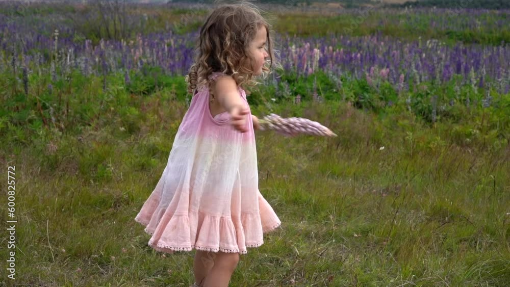 Little curly girl in pink summer dress dancing and turning around in lupine field with flowers in her hand. Slow motion. High quality FullHD footage Little curly girl in pink summer dress dancing and turning around in lupine field with flowers in her hand. Slow motion. High quality FullHD footage