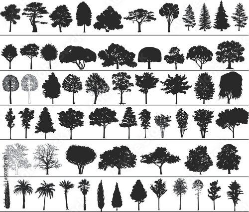 Set of black silhouettes of vector trees