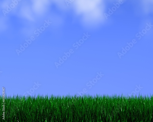 3d grass and sky
