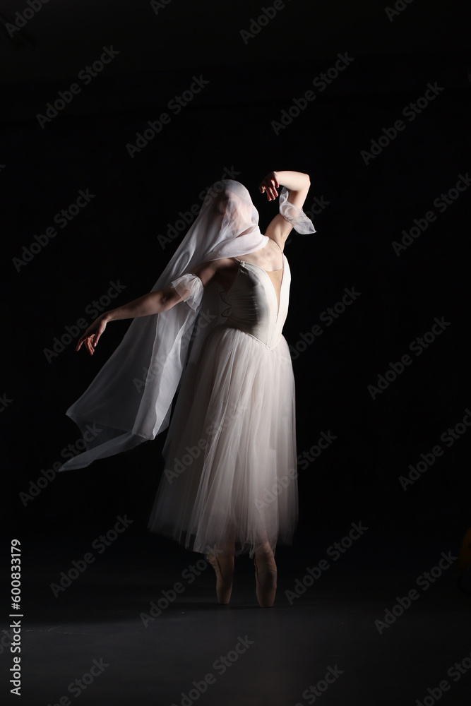 Fototapeta premium Professional ballerina dancing ballet.Ballerina in a white dress and pointe shoes. Dark background. Veil. Scene. Performance