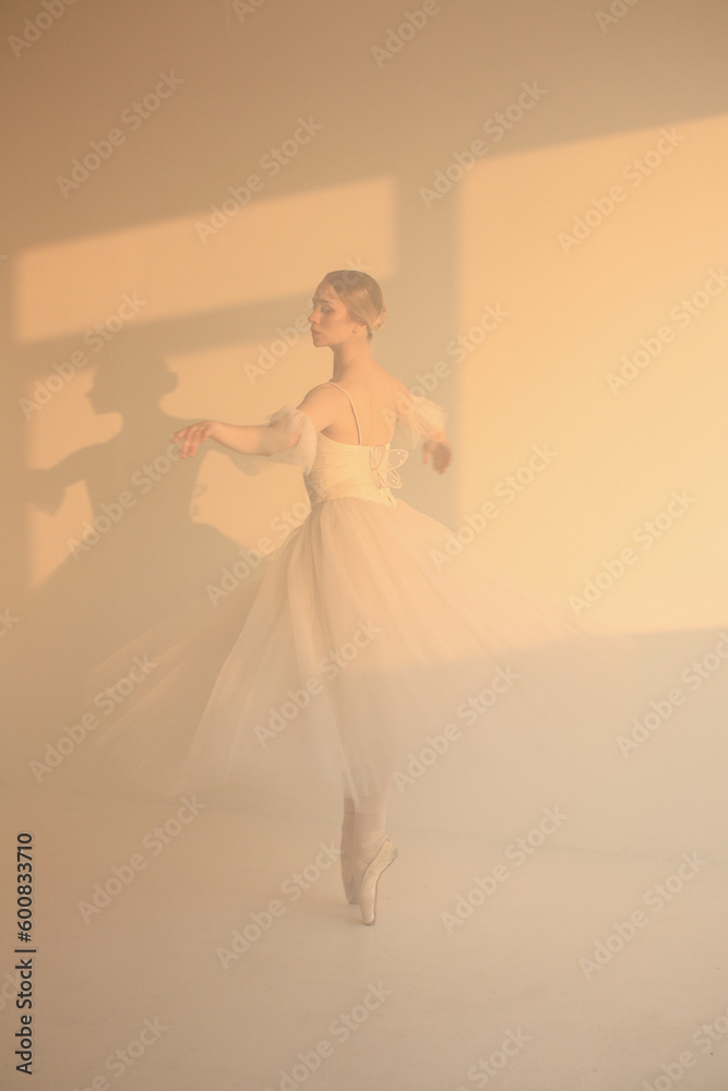 Fototapeta premium Professional ballerina dancing ballet.Ballerina in a white dress and pointe shoes. White background, sunlight.