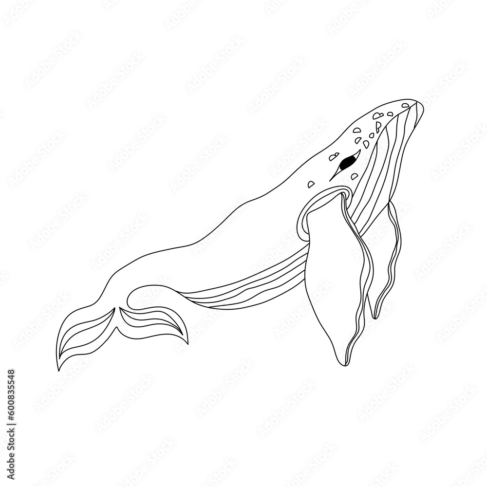 Illustration of a whale on a transparent background, graphics, hand drawn whales Illustration of a whale on a transparent background, graphics, hand drawn whales
