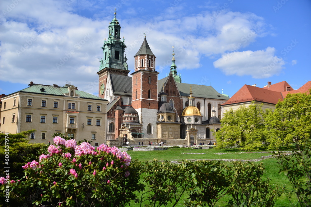 Wawel, Kraków, Zamek Królewski, Polska, UNESCO, Małopolska,  - obrazy, fototapety, plakaty 