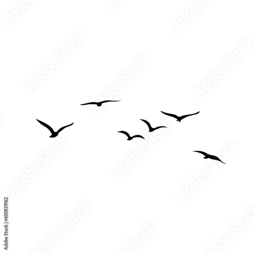 Vector silhouette of flying birds  © P4ramours