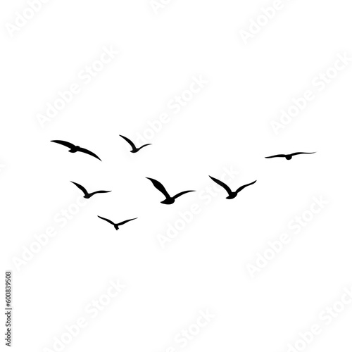 Vector silhouette of flying birds  © P4ramours