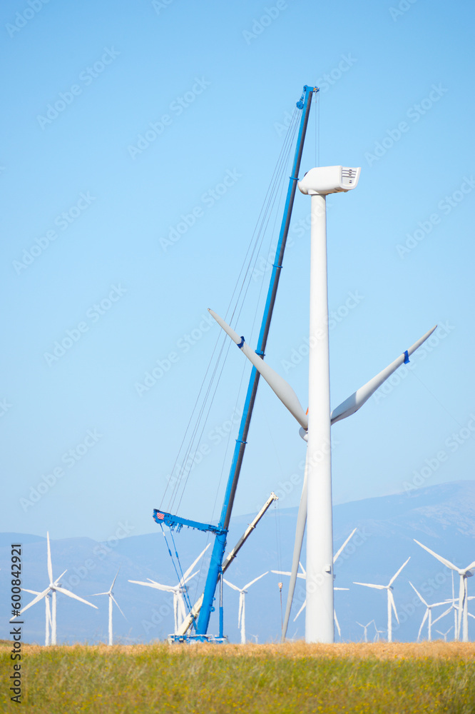 Assembly of a wind turbine generator for green electricity production Assembly of a wind turbine generator for green electricity production