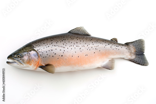 image of salmon fish on white background. Underwater Animals. Foods. illustration, generative AI.