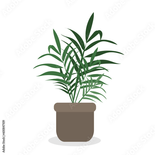Home plant in pot, cute flat cartoon illustration. 