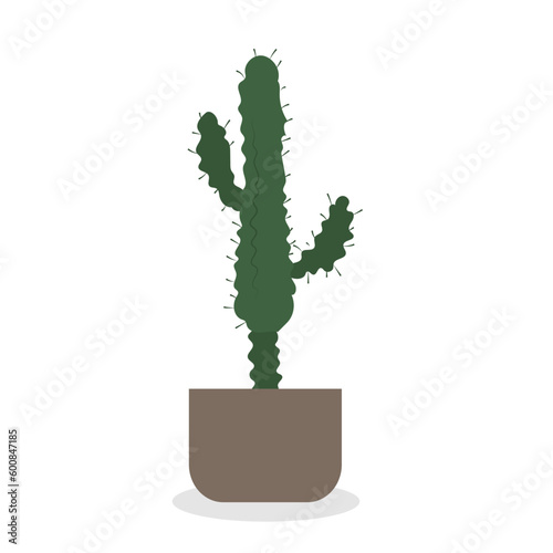 Home plant in pot, cute flat cartoon illustration. 