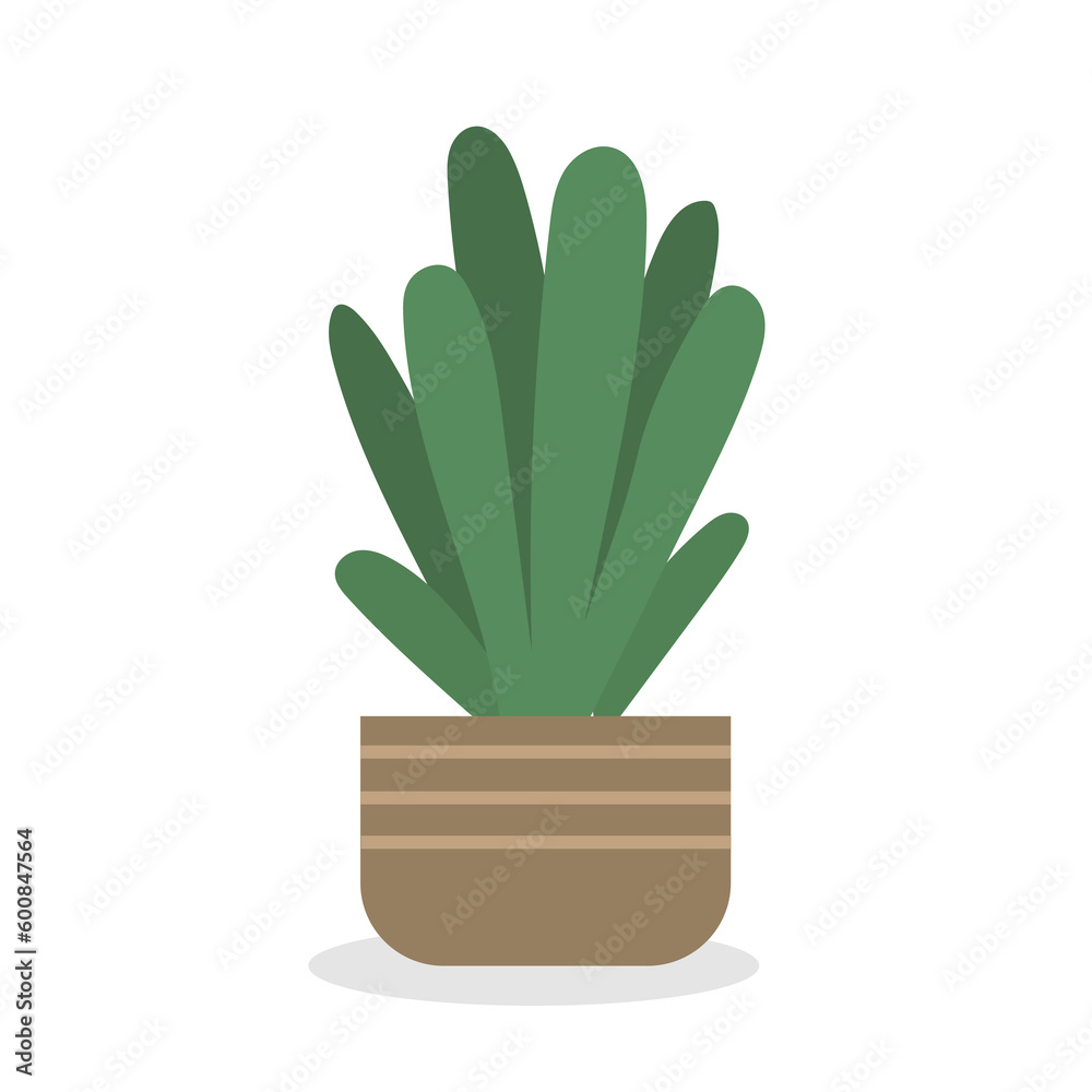 Home plant in pot, cute flat cartoon illustration. 