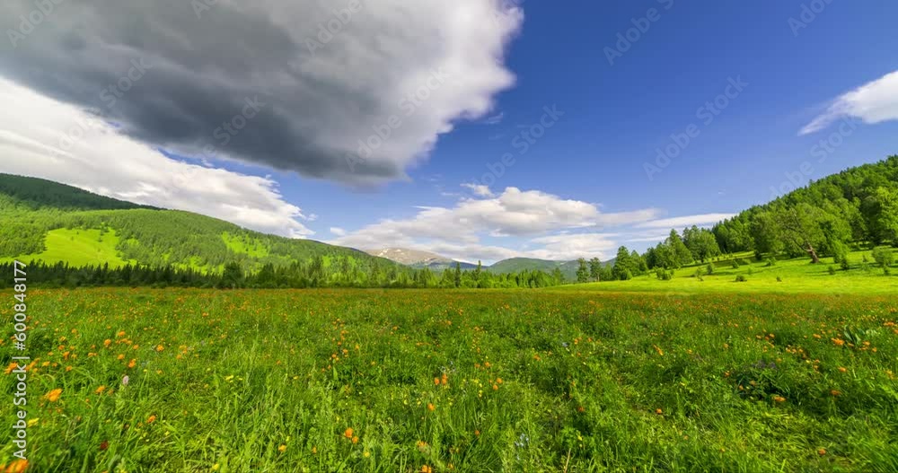 Mountain meadow time-lapse at the summer or autumn time. Wild nature and rural field. Clouds movement, green grass and sun rays. Motorised panorama Mountain meadow time-lapse at the summer or autumn time. Wild nature and rural field. Clouds movement, green grass and sun rays. Motorised panorama