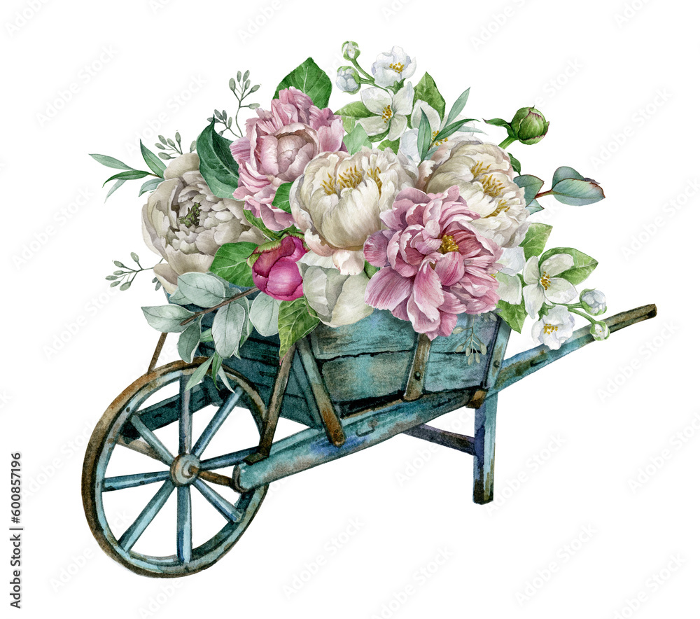 Watercolor blooming light blue rustic wheelbarrow with peony flowers and bud, eucalyptus leaves. Spring decor composition for Mother day arrangement card, Farmhouse rustic garden illustration