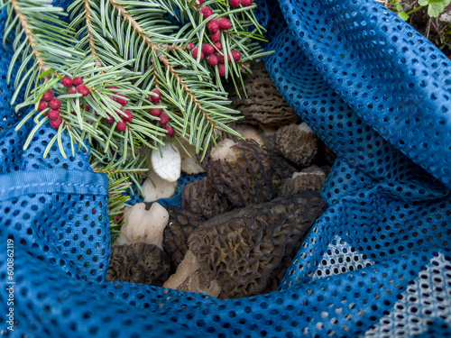 There are many logical aspects of collecting lamb's belly with a net. photo
