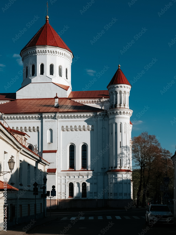 Cathedral of the Theotokos in Vilnius, Lithuania