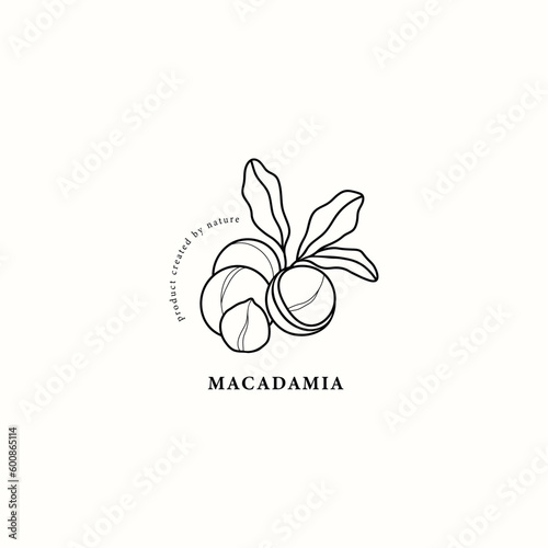 Line art macadamia nut illustration