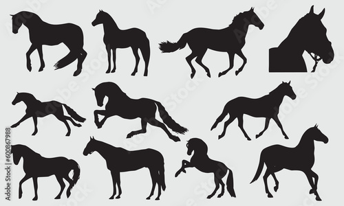 Horse silhouette vector illustration