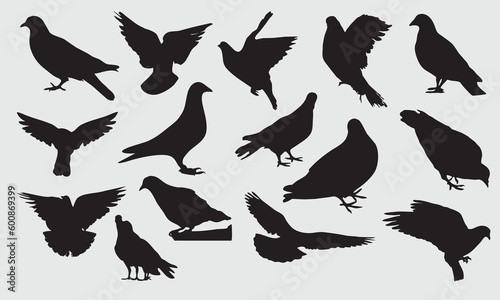 Pigeon silhouette 15 vector