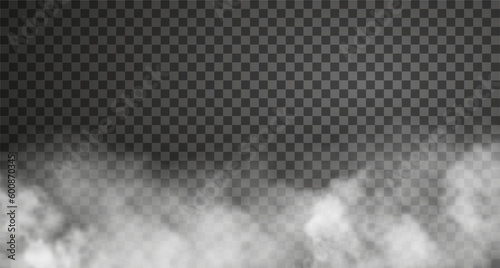 Cloudy fog isolated on transparent background. Realistic vector illustration. White haze or smoke effect 