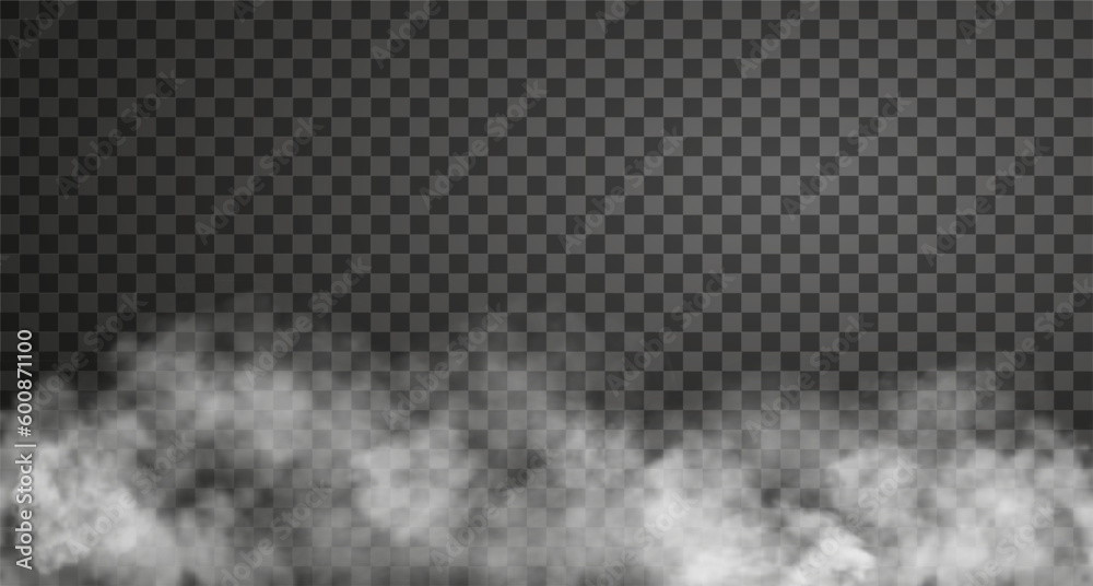 Vector illustration of white spooky steam cloud. Realistic fog effect isolated on transparent backdrop - obrazy, fototapety, plakaty 