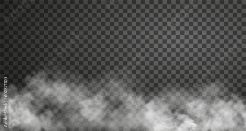 Vector illustration of white spooky steam cloud. Realistic fog effect isolated on transparent backdrop
