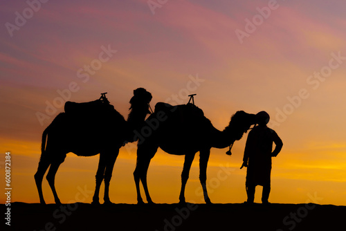 Sunrise silhouette of camels and handler  Merzouga