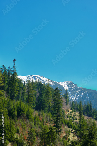 Panorama of snowy Tatra mountains in spring, south Poland