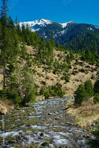 Beautiful spring panorama over river to snowy Witow, Tatra mountains, Poland