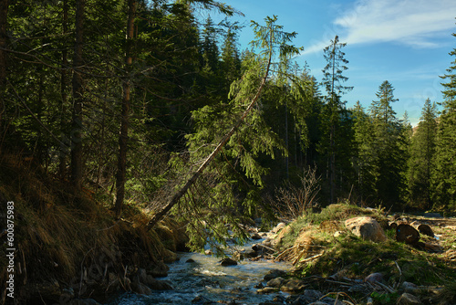 Beautiful spring panorama over river to snowy Witow, Tatra mountains, Poland