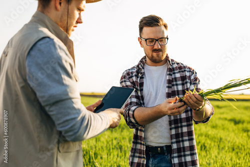 Two men in agricultural business inspecting crops from the fled