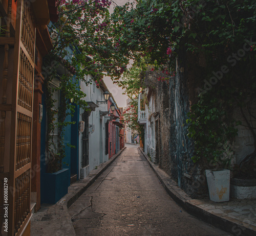 historical alley in the city of cartagena with houses and flowers